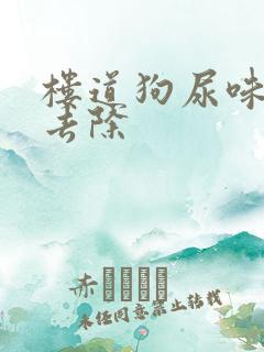 楼道狗尿味怎么去除