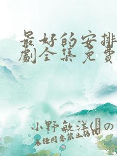 最好的安排电视剧全集免费观看