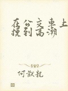 在公交车上被人摸到高潮