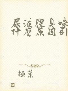 尿液腥臭味很重什么原因引起的