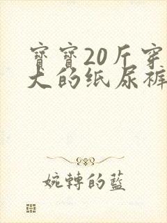 宝宝20斤穿多大的纸尿裤