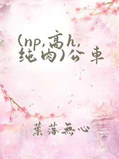 (np,高h,纯肉)公车