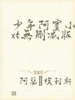 少年阿宾小说txt无删减版