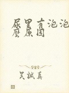 尿里有泡泡是什么原因