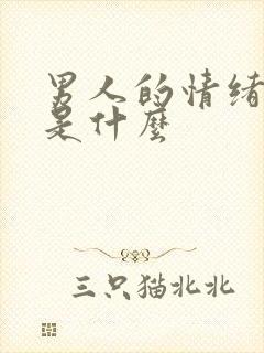 男人的情绪价值是什么