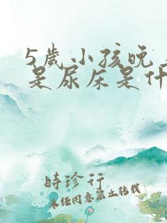 5岁小孩晚上老是尿床是什么原因