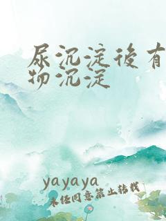 尿沉淀后有白色物沉淀