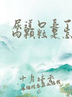 尿道口长了一个肉颗粒是怎么回事