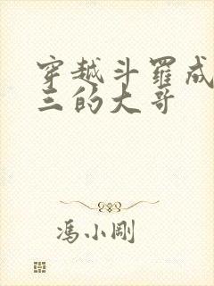 穿越斗罗成了唐三的大哥