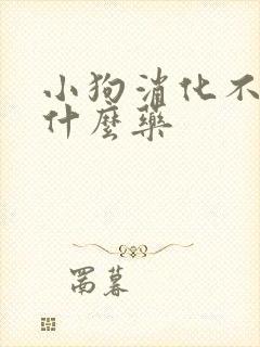 小狗消化不良吃什么药