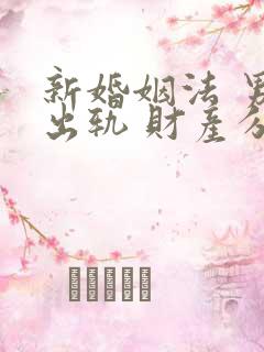 新婚姻法 男方出轨 财产分割