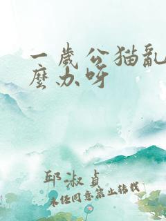 一岁公猫乱尿怎么办呀