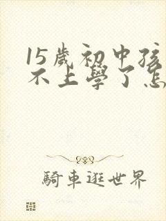 15岁初中孩子不上学了怎么办