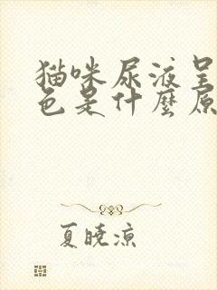 猫咪尿液呈淡红色是什么原因