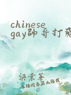 chinesegay帅哥打飞机