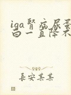 iga肾病尿蛋白一直降不下来怎么办