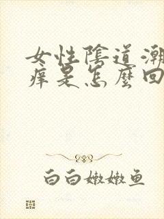 女性阴道潮湿瘙痒是怎么回事