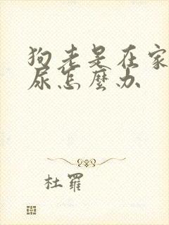 狗老是在家里乱尿怎么办