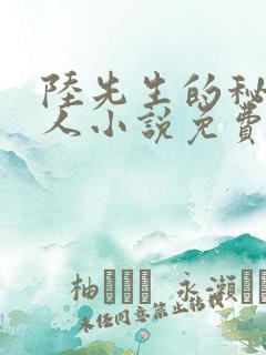 陆先生的秘密恋人小说免费阅读