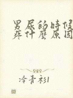 男尿的时候有点疼什么原因