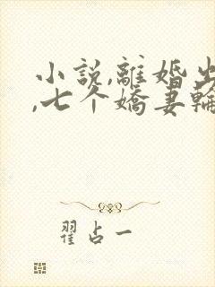 小说,离婚出狱,七个娇妻轮流上门