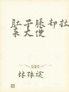 肚子胀却拉不出来大便