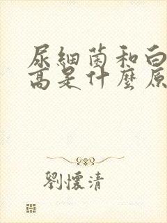 尿细菌和白细胞高是什么原因