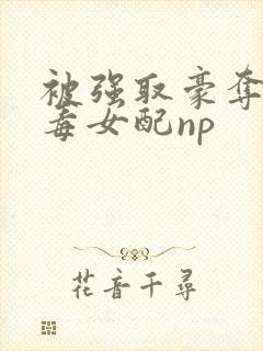 被强取豪夺的恶毒女配np
