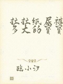 拉拉纸尿裤适合多大的宝宝穿