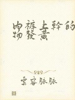 内裤上干的分泌物发黄