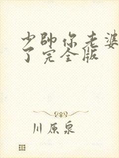少帅你老婆又跑了完全版