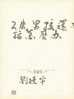 2岁男孩还不说话怎么办