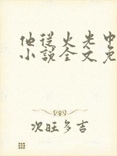 他从火光中走来小说全文免费阅读无弹窗