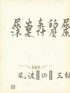 尿出来的尿有泡沫是什么原因