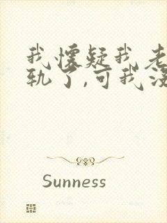 我怀疑我老婆出轨了,可我没证据