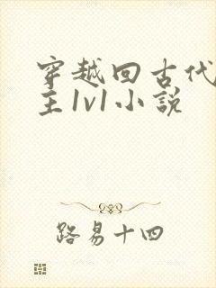 穿越回古代的男主1v1小说