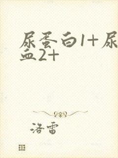 尿蛋白1+尿隐血2+