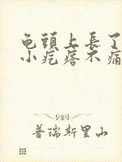 龟头上长了红点小疙瘩不痛不痒