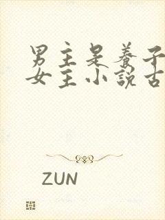 男主是养子爱上女主小说古言