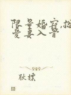 限量婚宠,总裁爱妻入骨