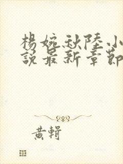 杨婉秋陆小伟小说最新章节在线阅读