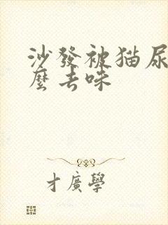 沙发被猫尿了怎么去味