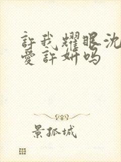 许我耀眼沈皓明爱许妍吗