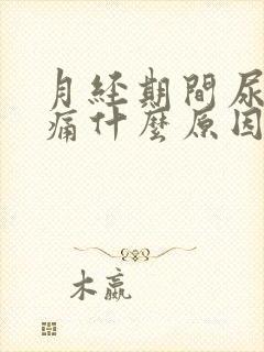 月经期间尿频尿痛什么原因