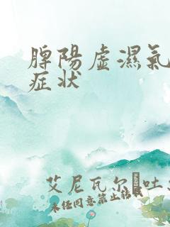 脾阳虚湿气重的症状