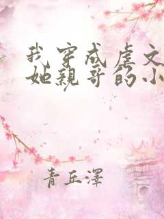 我穿成虐文女主她亲哥的小说