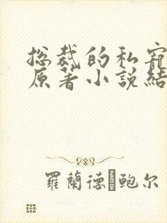 总裁的私宠甜妻原著小说结局