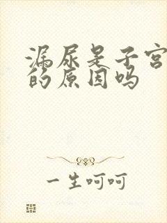 漏尿是子宫脱垂的原因吗