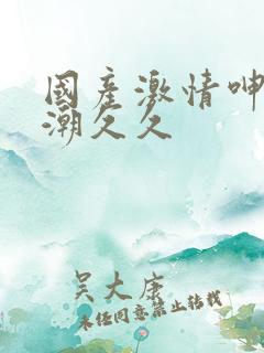 国产激情呻吟高潮久久