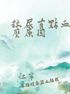 拉尿有点血是什么原因